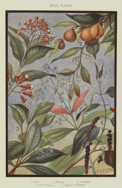 Piante di spezie da Marinus Adrianus Koekkoek